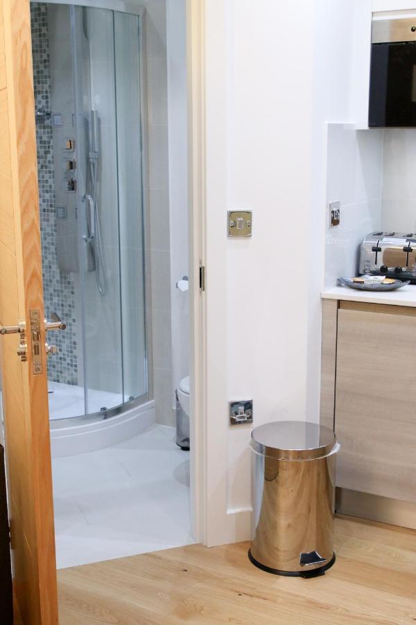 Executive Bright And Airy Studio Apartment In Sydenham ロンドン エクステリア 写真